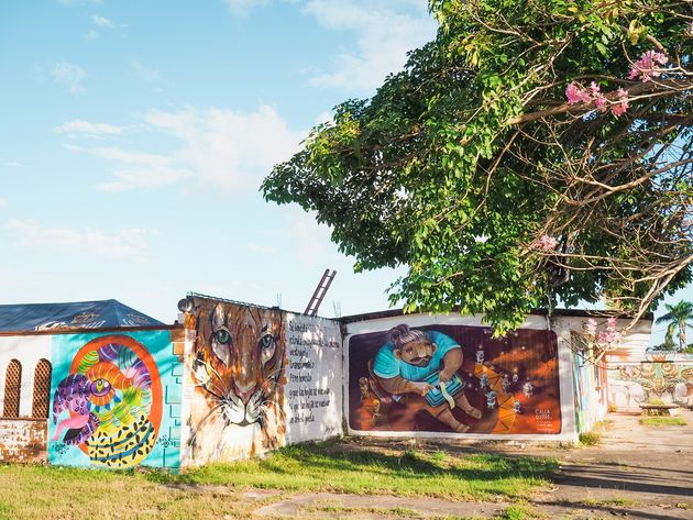 Net als op veel andere plekken in Mexico vind je ook in Bacalar veel kleurrijke streetart