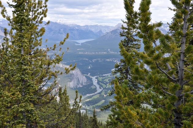 Uitzicht vanaf het topje van Sulphur Mountain