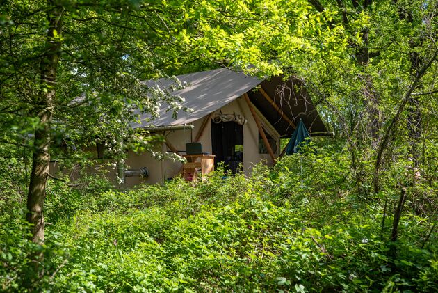 Zo hoort een natuurcamping te zijn