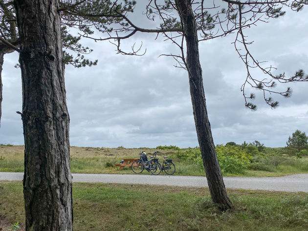 Even stoppen op een mooi plekje in de Boschplaat