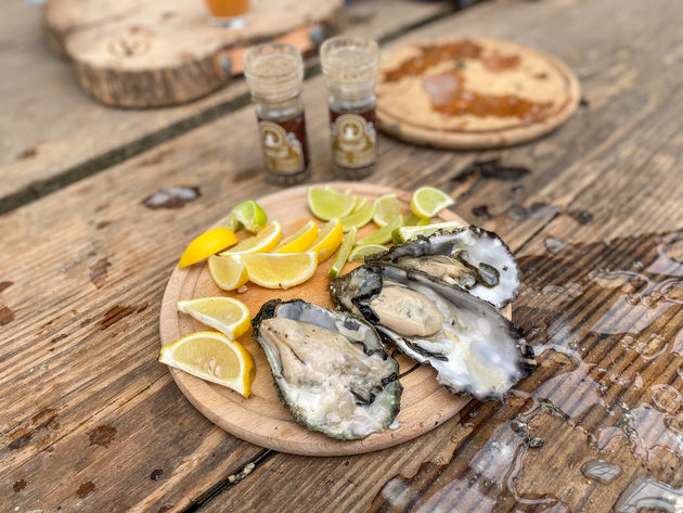 Wadlopen en deze culinaire verwennerij: de perfecte combinatie!