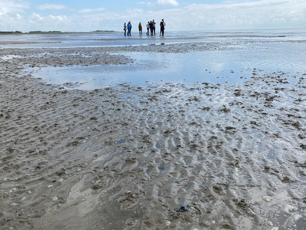 Na twee uur wadlopen gaan we weer terug