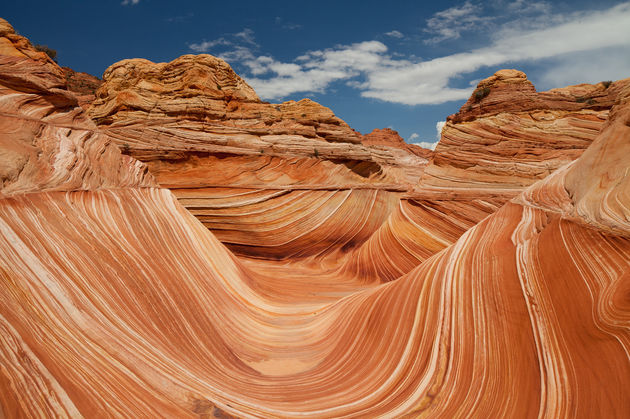 The Wave in Arizona\u00a9 oscity - Fotolia