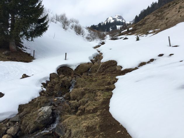 De lente komt eraan, de sneeuw is aan het smelten