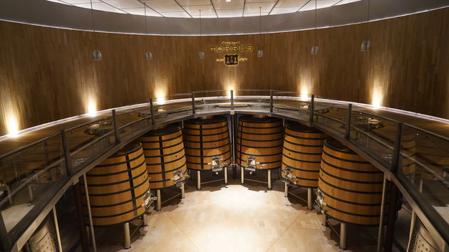 Torres wijnen, wereldberoemd en leuk om te bezichtigen