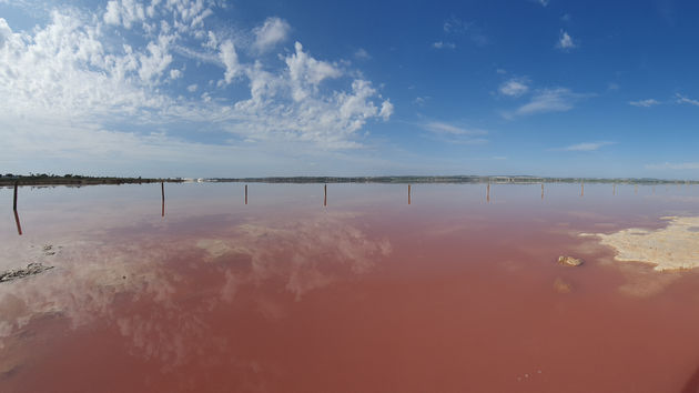 Het roze zoutmeer van Torrevieja. Helaas zonder flamingo\u2019s...