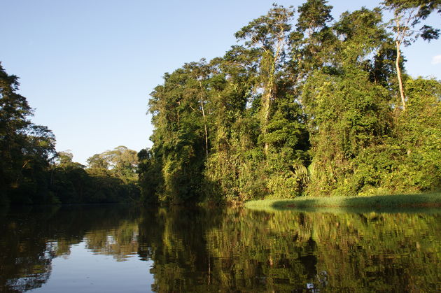 Varen door de jungle van Nationaal Park Tortugeuro