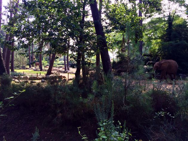 Zoo de La Fl\u00e8che, een van de mooiste dierentuinen ooit gezien