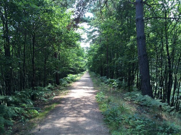 Fietsen over de prachtige groene `Voie Vert`