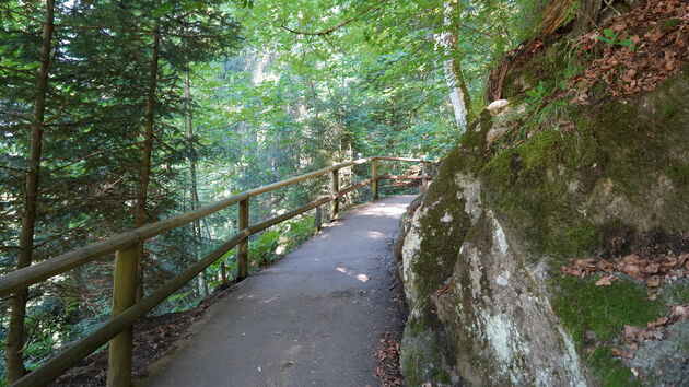 Wandeling naar de Triberger Wasserfalle, de watervallen van Triberg