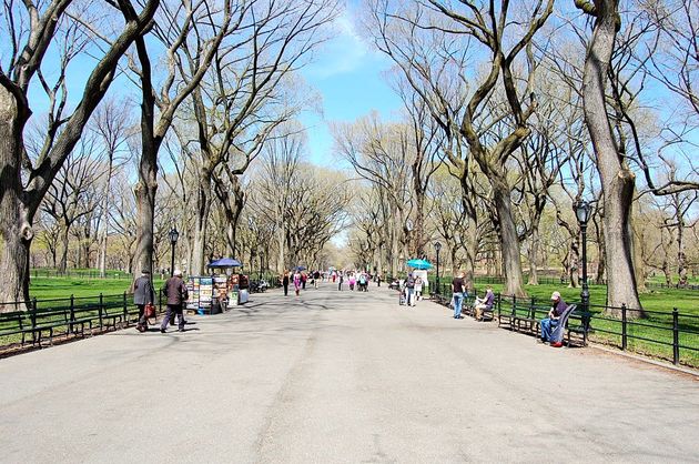 Central Park in New York, een hele bijzondere plek om te trouwen!