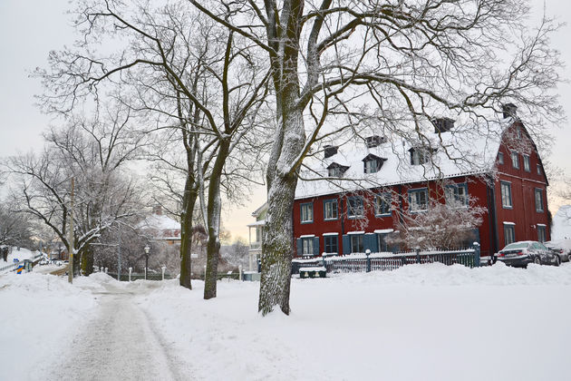 De huizen vallen extra op tussen alle sneeuw.