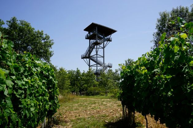 De uitkijktoren van Moncalou 