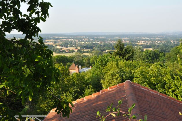 Het uitzicht vanuit Ambierle op de Loire