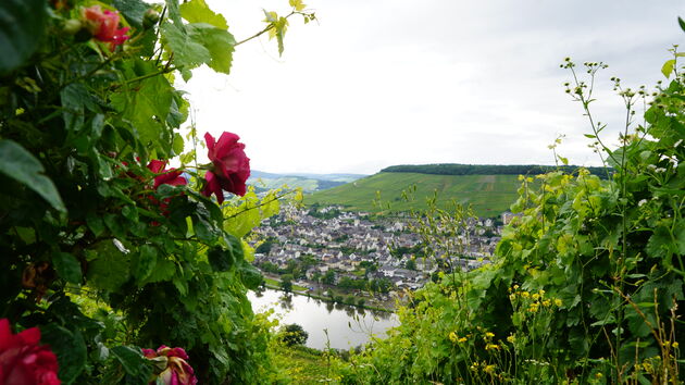 Uitzicht bij de Burchtruine\u0308 Landshut