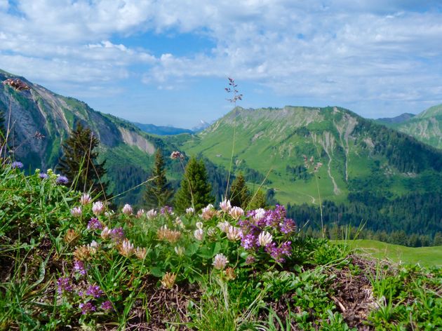 Uitzicht op Morzine