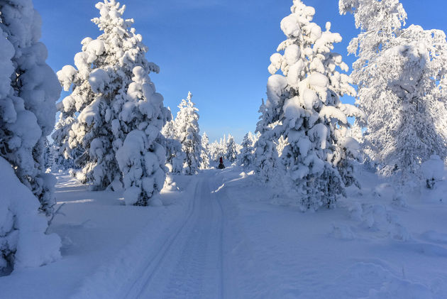 De sneeuw maakt alles magisch mooi