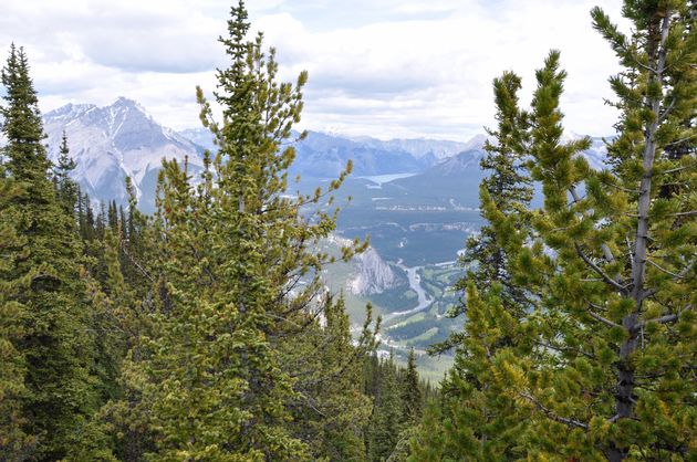 Klimmen naar de top van Sulphur Mountain