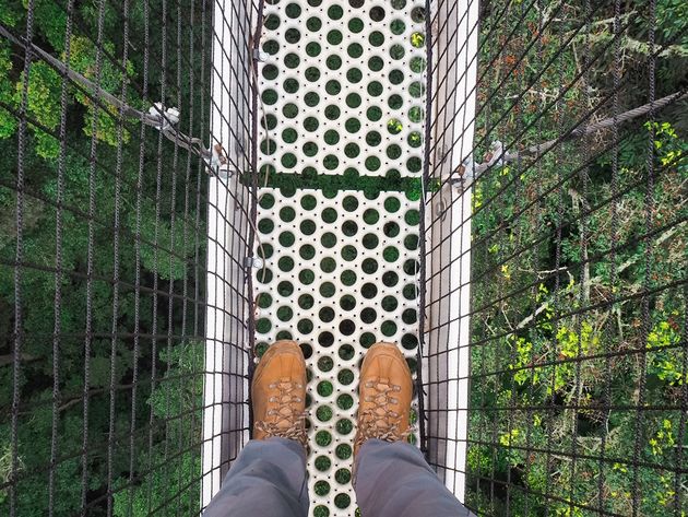 Op de 70 meter hoge loopbrug voel je je net een chimpansee die door de boomtopppen loopt.