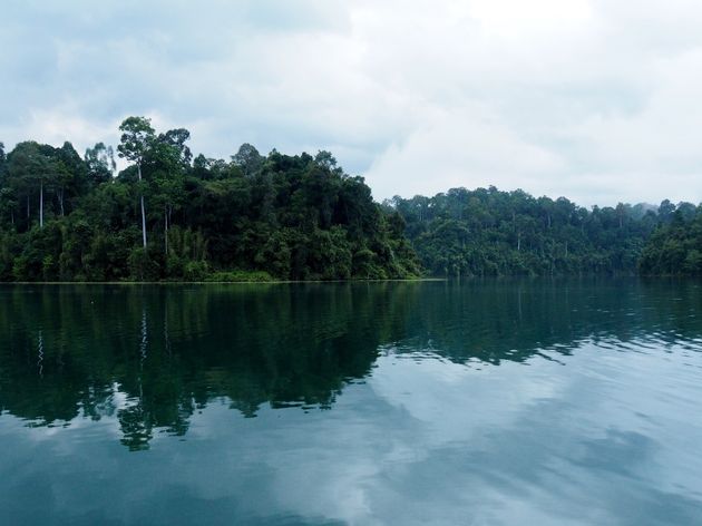 Het uitzicht vanuit onze tent in Elephant Hills Rainforest Camp