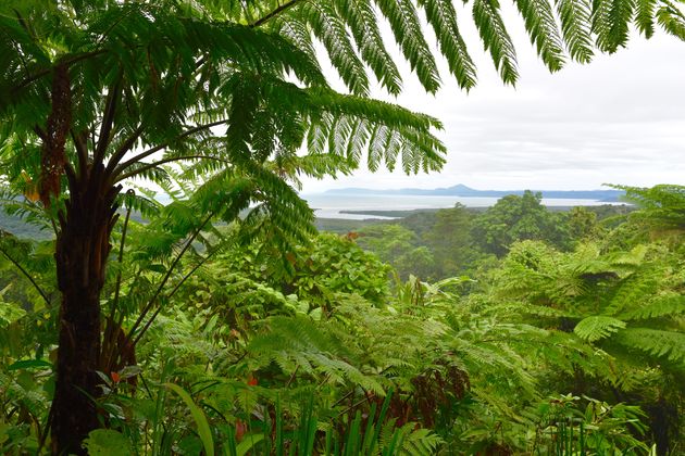 Uitzichtpunt aan de Captain Cook Highway