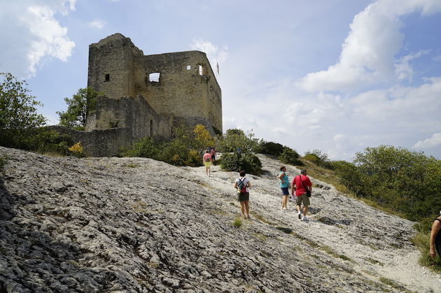 Vaison_la_Romaine_grafelijk_kasteel