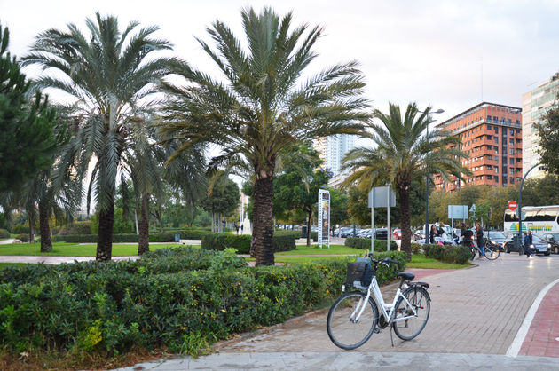 valencia-fietsen.jpeg