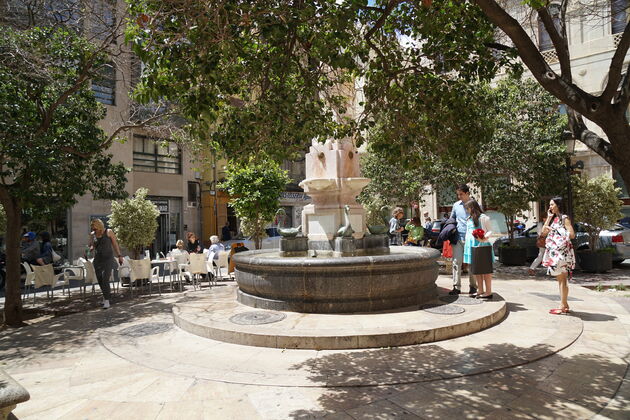 Pleintjes met vijvers, bij 35 graden een prima plekje