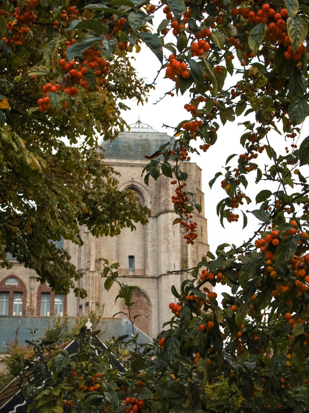 Een glimp van de Grote Kerk