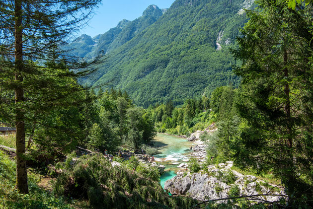 Op de achtergrond zie je de Julische Alpen