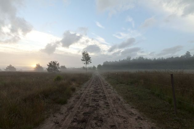 veluwe-ochtend