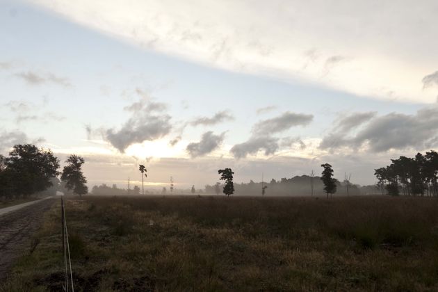 veluwe-zonsopgang