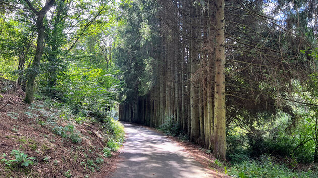 Schitterende natuur in de omgeving van Burg Reuland