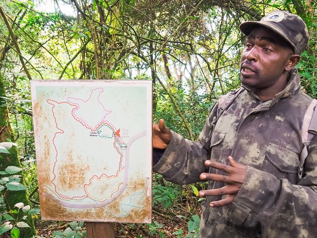 Onze gids legt uit dat er wel 15 verschillende wandelpaden in het Nyungwe National Park zijn.