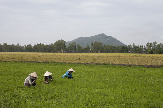 vietnam-boek-1