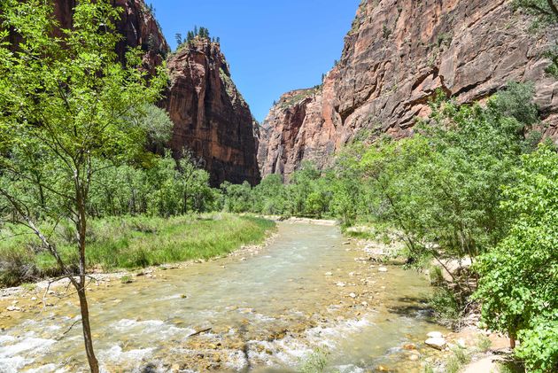 Je loopt dan een stukje langs de Virgin River, de rivier waar je straks zelf ook in gaat