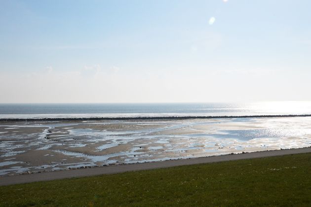 wadden-ameland.jpeg
