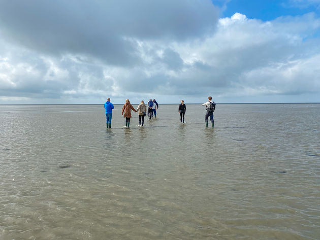 Het wad ligt bij Puur Terschelling letterlijk voor de deur