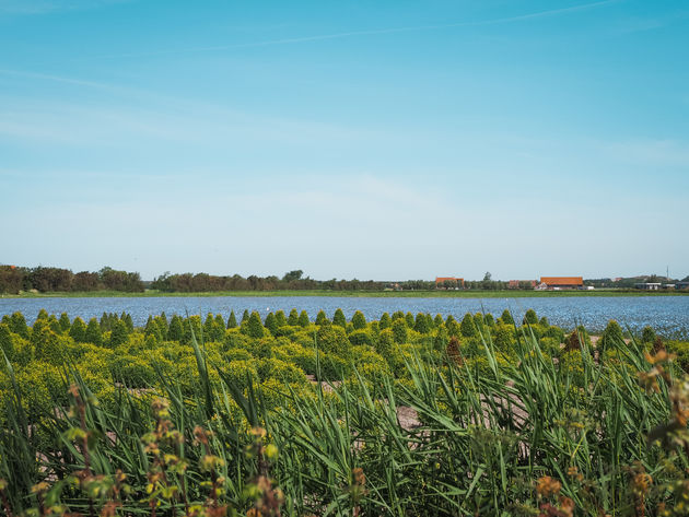Ga picknicken in de polder...
