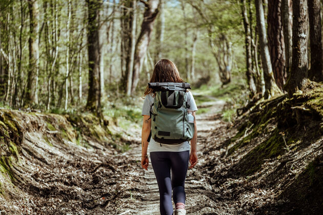 <em>In dit deel van de Ardennen kun je prachtige wandelingen maken.<\/em>