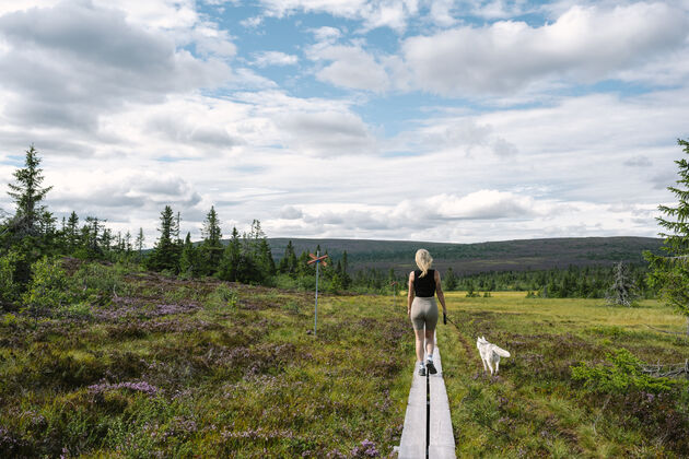 wandelen-dalarna-zweden.jpeg