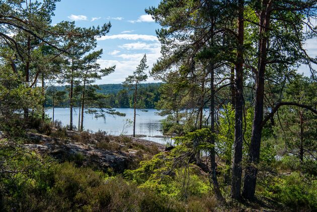 Te voet door Dalsland: doe (een deel van) de Pilgrimsleden