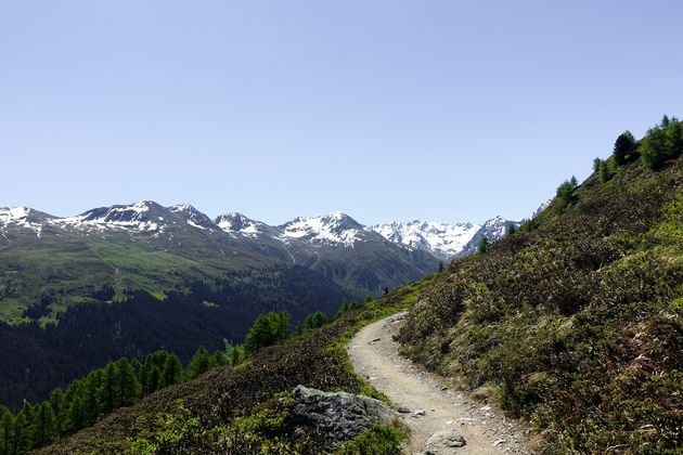 Voor iedereen is hier een wandelroute naar wens te vinden