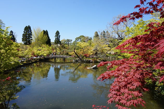 Zeker doen; wandelen door verschillende Japanse tuinen
