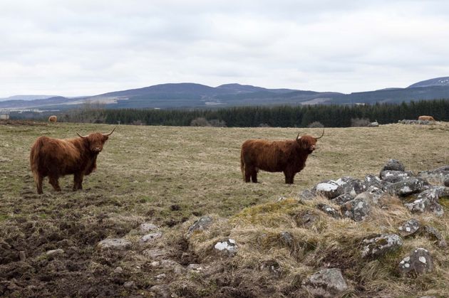 Wandelen door de Schotse Hooglanden