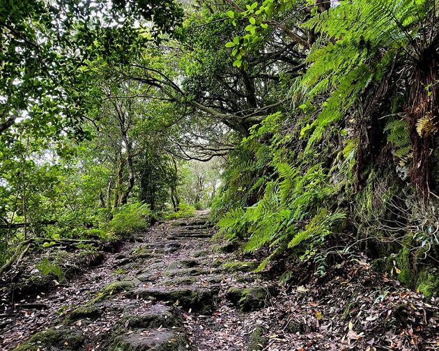 <em>Op Tenerife vind je volop mooie natuur om te wandelen.<\/em>