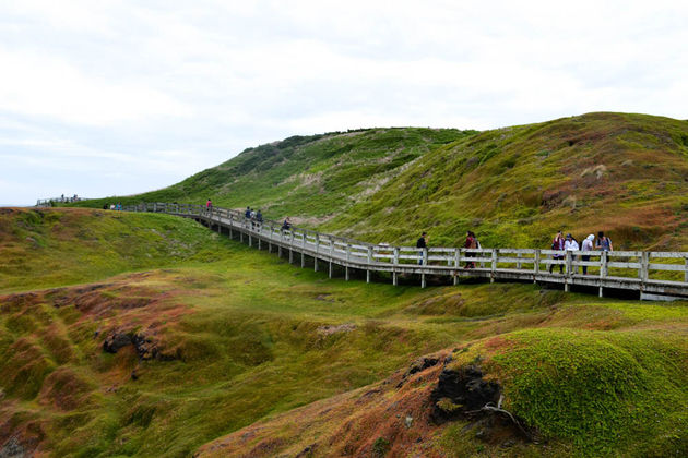 Maak een mooie wandeling door de omgeving van The Nobbies