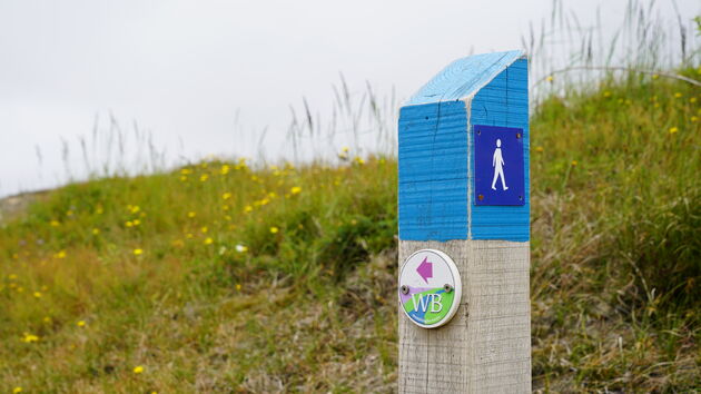 De grootste gemene deler op de Waddeneilanden: Wandelen