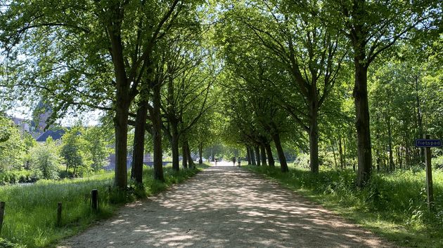 Wandelgebied de Manteling tussen Oostkapelle en Domburg