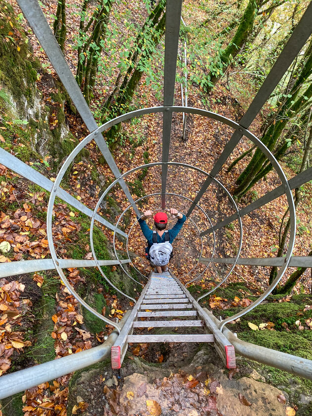 wandeling-laddertjes-ardennen.jpeg